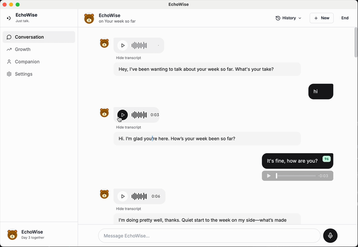 EchoWise — full walk-through